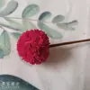 Cailuotong Passepartout Flores Secas Flores de Fruta Seca Literario Pequeño Fresco Arreglo Floral Hecho a Mano Decoración para Sala de Estar Dormitorio Pantalla