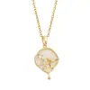 Ins Diseño de Nicho Collar en Forma de Abanico para Mujer Lujo Accesible Sencillo Versátil de Moda Cadena para Clavícula de Circonita Suministro de Celebridad de Internet Douyin