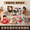 Almofadas de Formato Personalizado, Almofadas em U, Almofadas Impressíveis em Ambos os Lados, Almofadas de Descanso com Foto Personalizada, Almofadas de Sofá para Viagem, Almofadas de Desenho Animado