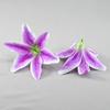 Pantalla de Flores Fabricante de Flores Artificiales Venta al por Mayor Lirio Flor Falsa Materias Primas Flor de Seda 12 cm Flores de Lirio Pequeñas Artificiales