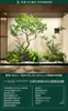 Escenario de Exhibición de Ventana Pieris Japonica Simulada Planta Interior de Gama Alta Arce Japonés Biomorfo Planta Verde Decoración Árbol Artificial Grande Paisaje