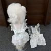 Roupas para Pets Cachorro e Gato Maltês Tulipa Renda Mangas Vazadas Suspensórios Novo Laço Saia Fofa