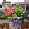 Cesta de flores pequeña mini cesta tejida de ratán lazo tejido juguetes decorativos adornos para cesta de flores de coche al por mayor en stock fabricantes
