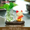 Gato da Sorte Vaso Hidropônico Sala de Estar Dispositivo para Cultivo de Flores em Água Escritório em Casa Decorações de Mesa Flores Aparelho de Flores Presentes