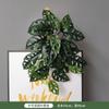 Decoración de pared de planta de simulación de interior, colgante de pared de planta verde, eneldo verde, caparazón de tortuga, maranta, colgante de pared de fondo para el hogar, hoja verde