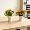 Nueva planta en maceta pequeña de loto de 5 flores de plástico transfronteriza para decoración de sala de estar en casa, maceta linda tipo helado artificial flor bonsái