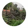 Rochas Naturais para Pátios, Paisagismo com Pedras de Rocha para Interiores e Exteriores, Produção e Construção de Pedras para Paisagismo de Taludes e Elementos Aquáticos