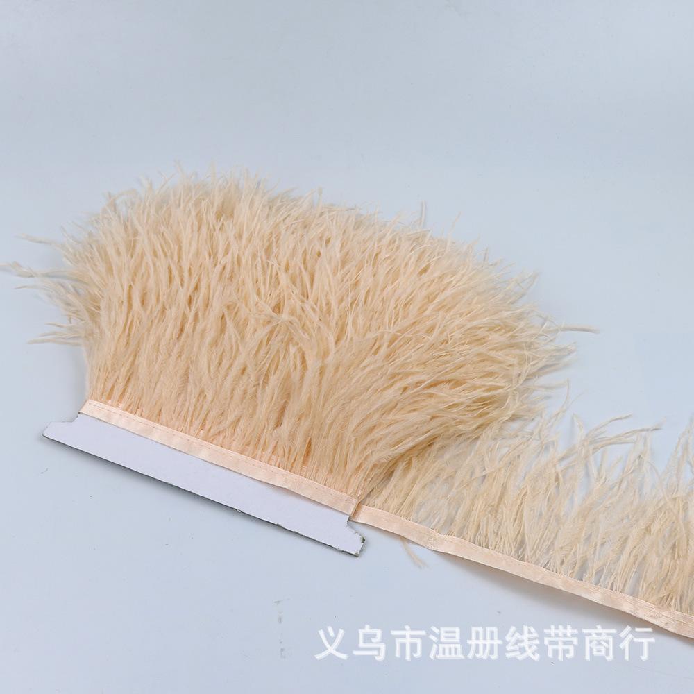49 ostrich feather fringe 4 -
