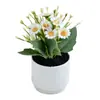Bonsái pequeño de crisantemo para decoración de interiores del hogar, planta verde artificial como accesorio de fotografía, decoración para la entrada de la sala de estar, adorno simulado de crisantemo