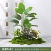 Planta de musgo artificial paisagismo floreira combinação divisória decoração micro paisagismo planta verde biônica paisagismo interno bonsai