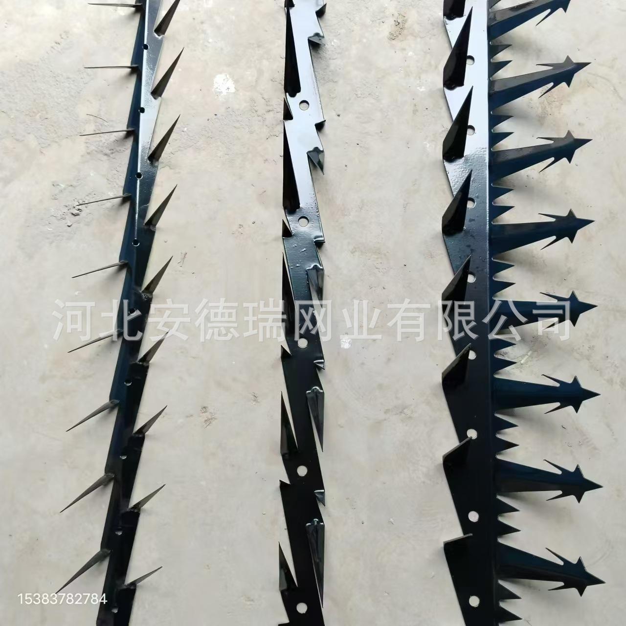 微信图片_20240829123103.jpg