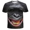 Camiseta de comércio exterior transfronteiriço Estampa 3D animal camiseta de manga curta Europa e Estados Unidos plus size esportiva roupa masculina fabricantes de origem