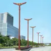 Zhongshan Luz de Calle LED al por Mayor Ingeniería Municipal Iluminación Exterior Luces de Jardín Zona Rural Nueva Fabricante de Luz de Calle LED de 6m