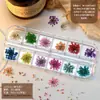 Nuevos 12 compartimentos Joyería de diamantes para uñas Explosivo Aurora tridimensional Lazo Perla plana mixta Accesorios de decoración de uñas