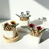 Enfeites de Vidro Zibo, Plantas Suculentas em Vasos, Plantas Verdes de Vidro, Presentes de Flores de Dezembro, Artesanato para Decoração de Escritório