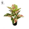 Flores Artificiales Transfronterizas de Amazon, Hojas de Colores, Taro, Plantas Verdes Artificiales para Bodas, Arreglos Florales, Paisajismo Interior, Decoración Suave, Plantas Falsas