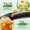 Baizhentang Platycladus orientalis aloe vera shampoo limpo e macio atacado refrescante e macio cabelo liso cuidado com cabelo sedoso