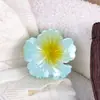 Venta de Liquidación de Otoño Diademas, Pasadores, Ligas para el Cabello, Cuerdas para el Cabello, Una Pieza es Precio de Mayoreo, Accesorios para el Cabello, Tocados, Venta de Liquidación