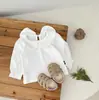 Traje para Niñas Primavera y Otoño 2024 Nuevo Estilo Princesa para Bebé Chaleco de Punto con Shorts Conjunto de Dos Piezas Ropa para Bebé