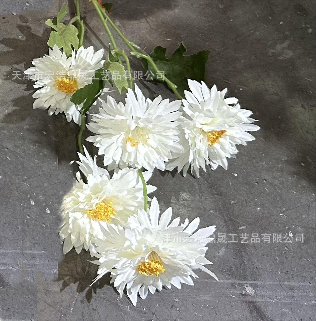 微信图片_20230723132443(5)