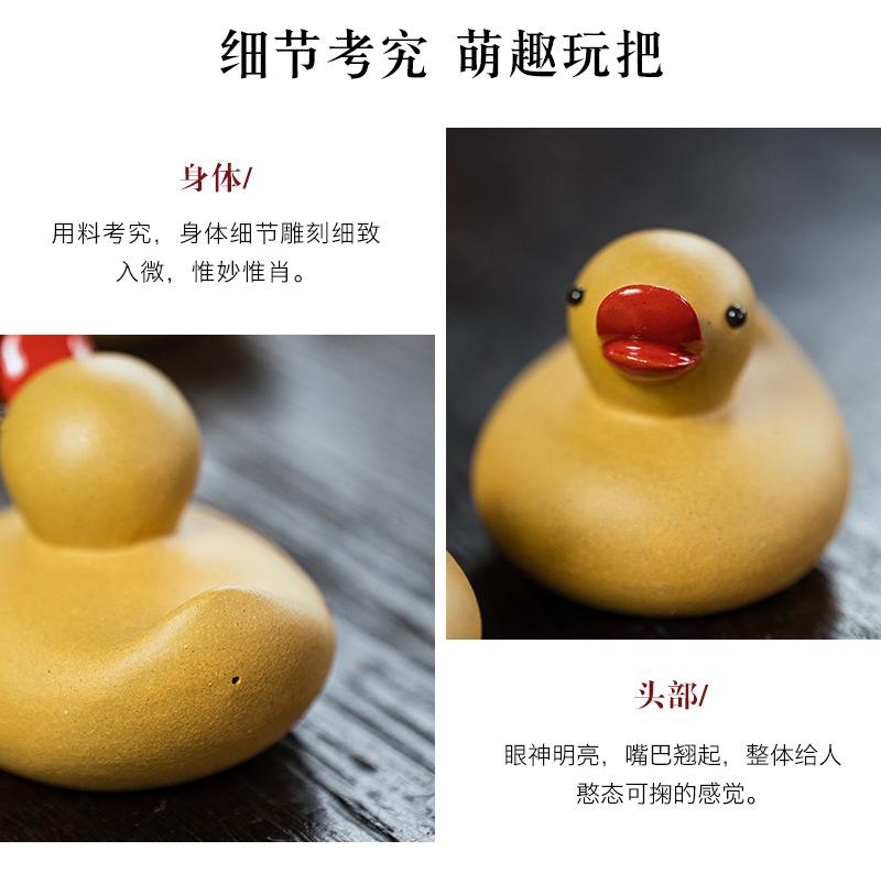 小黄鸭20210806 (19).jpg