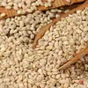 Granos de cebada: Cebada cultivada en granja, mondada y pelada. Los granos de cebada están limpios y son adecuados para hacer gachas o alimentos a base de cereales para el desayuno.