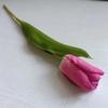 Simulación de procesamiento personalizado, sensación de tulipán, arreglo floral de tulipán, arreglo de boda, sala de estar, centro comercial, adornos, venta al por mayor transfronteriza