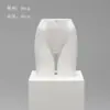 Accesorios de Modelo de Ropa Interior Torso Femenino Masculino Soportes de Exhibición de Ventana de Plástico Maniquí Apilamiento de Pecho De Zhu