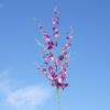 Orquídea Bailarina Grande de 8 Ramas, Orquídea Oncidium, Flor Artificial, Flor Falsa, Decoración para el Hogar, Fotografía de Bodas, Flor de Decoración Suave