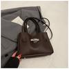Bolsa Pequena de Luxo e Estilosa para Mulheres 2025 Nova Moda Versátil Bolsa Transversal Exquisita Pasta Bolsa Pequena para o Dia a Dia