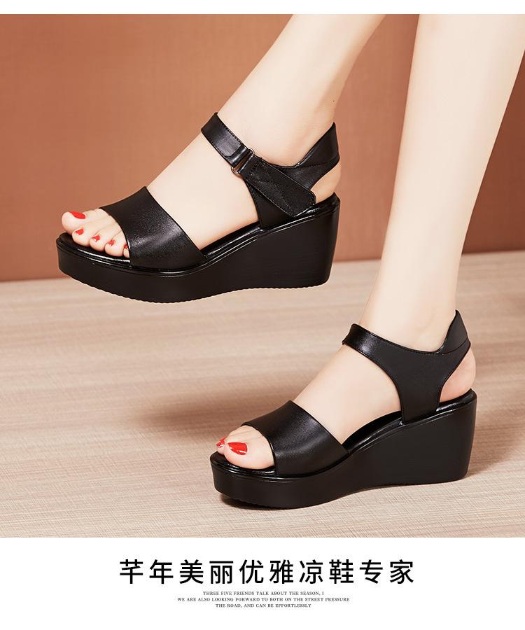 详情_12.jpg