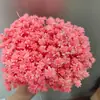 Flor de montanha pequena buquê de flores secas decoração luz luxo high-end diy material real flor air-dried importado espécime material de flor