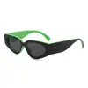 Gafas de sol Cat-Eye Europeas y Americanas Transfronterizas Bloque de Color Moda Versátiles Simples para Mujer Gafas con Protección UV