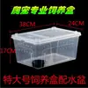 Caja de Cría para Reptiles Caracol Mascota Criatura Viva Caja para Reptiles Cangrejo Ermitaño Araña Escorpión Rana Cornuda Lagarto Caja para Insectos y Desechos