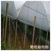 Estufa Multivão Sichuan Ganzi Lide Marca Estufa Filme Preto e Branco Filme Verde e Branco Ziyang Estufa Agrícola para Plantio Tubo