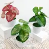 Venta Caliente Transfronteriza Flor Artificial Planta Verde Falsa Hogar Sala de Estar Escritorio Hoja de Camote Siempreverde Hoja de Tortuga Hoja de Taro Planta en Maceta