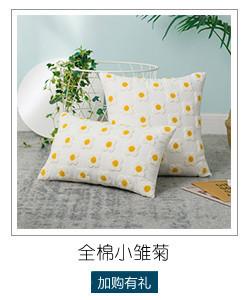 推荐-小雏菊.jpg