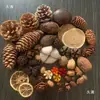 Fruta Fixa Natural Planta Fruta Casca Espécime Material Decoração Flores Secas Fatias Jardim de Infância DIY Pacote de Material de Natal
