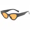 Óculos de Sol de Moda Streetwear Transfronteiriços Novos 2024 Óculos de Sol Moda Feminina Masculina Olho de Gato Popular na Internet Óculos de Sol Versáteis para Street Photoshoot