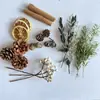 Casca de fruta faça você mesmo, pinha, lascas de madeira, folhas, flores secas, combinação de frutas secas, decoração de natal, decoração de jardim de infância, adereços retrô