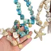 Collar de Estrella de Mar Irregular para Mujer, Diseño Único, Accesorio de Cadena para Clavícula a la Moda, Pulsera Apilable Nuevo Estilo 2025