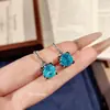 Colar com Pingente Octogonal Cabeça de Touro Corte Rosa Paraíba Clássico, Brincos de Diamante Coloridos, Anel de Diamante Rosa, Pulseira Azul Oceano