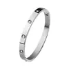 El Tesoro de la Tienda, Pulsera Popular Transfronteriza de Acero de Titanio, Colección Estilo Europeo y Americano, Lujo Ligero, Versátil y a la Moda, Precio de Fábrica, Dropshipping