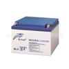 Batería Ruida Ra12-200 12V200Ah Plomo-Ácido Libre de Mantenimiento Batería de Respaldo (UPS) No Importada