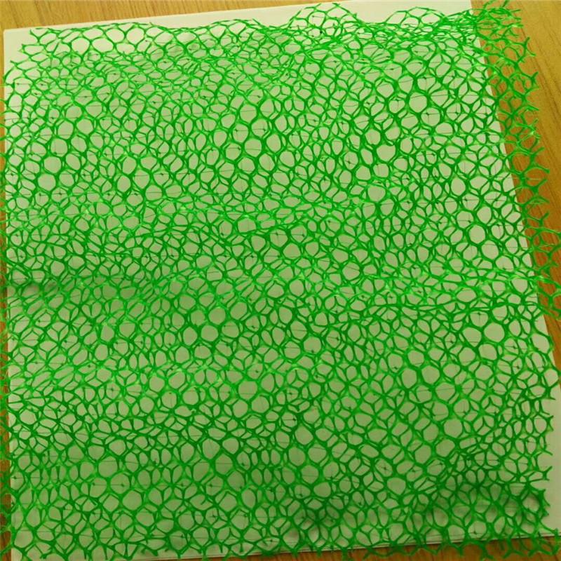 三维网6