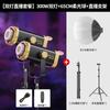 Luz de Relleno de Alta Potencia 300W para Transmisión en Vivo Especializada para Fotografía y Sesiones de Fotos, Luz Suave para Streamers, Iluminación de Belleza Luz LED