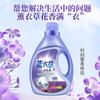 Venta al por mayor del fabricante Detergente para ropa de 2 kg Famoso en Internet Tienda de comercio electrónico Regalo Botella de lavanda Detergente para ropa de 2 kg