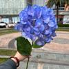 Hortênsia azul escuro comércio exterior safira azul oceano vento casamento simulação hortênsia estrada chumbo teto mão held flores falsas atacado