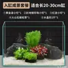 Plantas de Acuario, Decoraciones de Paisajismo con Césped Real, Plantas Aptas para Principiantes, Crisantemo Verde Ciempiés, Plantas de Sombra, Piedra Volcánica, Plantas Verdes Purificadoras de Agua