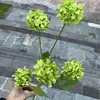 Fabricante de Flores Artificiales para Bodas Verdes Hortensia Verde Rosa Rocío de Golondrina Loto Bola de Cebolla Decoración Suave para Bodas Flor Artificial al por Mayor